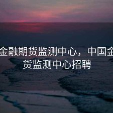 中国金融期货监测中心，中国金融期货监测中心招聘