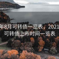 2020年8月可转债一览表，2021年8月可转债上市时间一览表