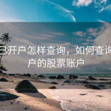股票已开户怎样查询，如何查询已开户的股票账户