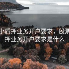股票小质押业务开户要求，股票小质押业务开户要求是什么