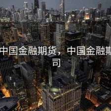 鹿波 中国金融期货，中国金融期货公司