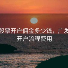 广发股票开户佣金多少钱，广发股票开户流程费用