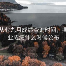 期货从业九月成绩查询时间，期货从业成绩什么时候公布