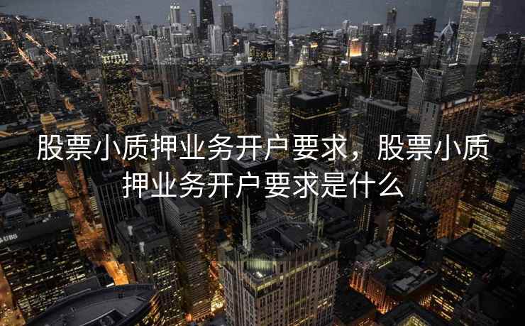 股票小质押业务开户要求，股票小质押业务开户要求是什么  第2张