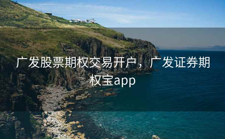 广发股票期权交易开户，广发证券期权宝app  第1张