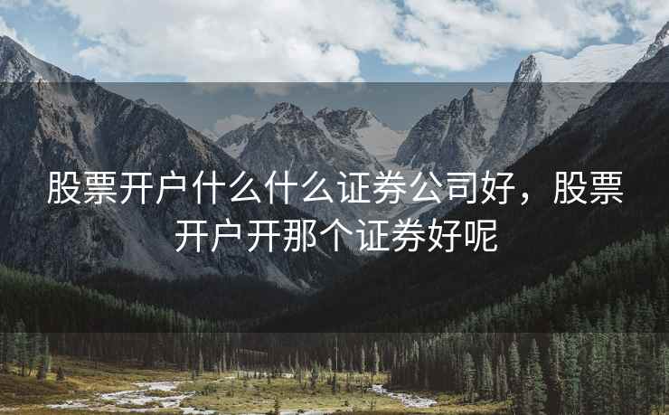 股票开户什么什么证券公司好，股票开户开那个证券好呢  第2张