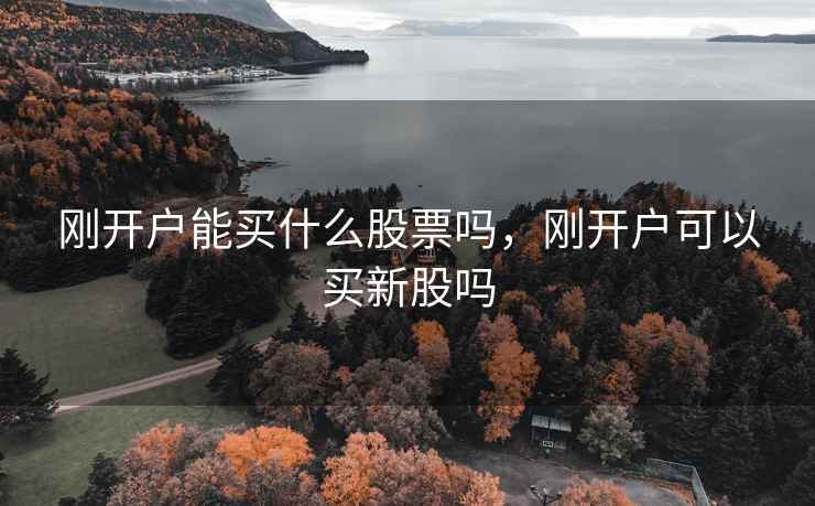 刚开户能买什么股票吗，刚开户可以买新股吗  第2张