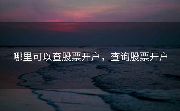 哪里可以查股票开户，查询股票开户  第1张
