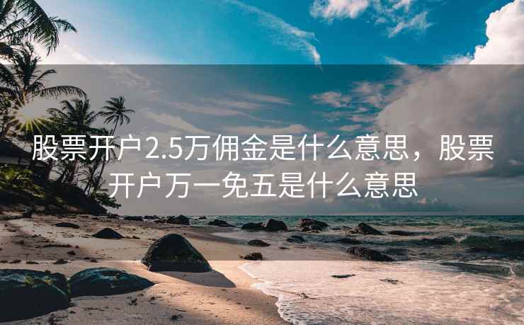 股票开户2.5万佣金是什么意思，股票开户万一免五是什么意思  第2张