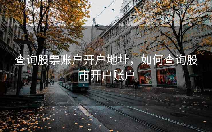 查询股票账户开户地址，如何查询股市开户账户  第2张