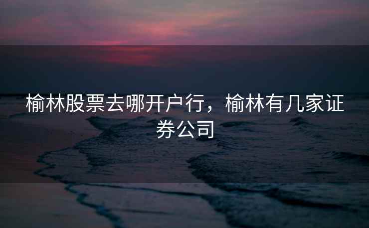 榆林股票去哪开户行，榆林有几家证券公司  第2张