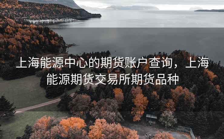 上海能源中心的期货账户查询，上海能源期货交易所期货品种  第1张