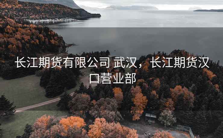 长江期货有限公司 武汉，长江期货汉口营业部  第1张