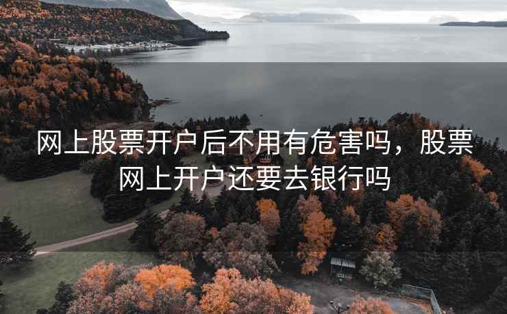 网上股票开户后不用有危害吗，股票网上开户还要去银行吗  第2张