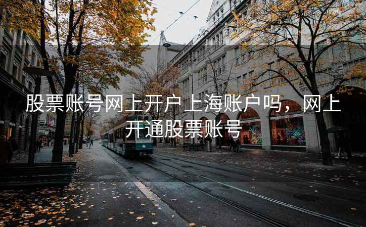 股票账号网上开户上海账户吗，网上开通股票账号  第1张
